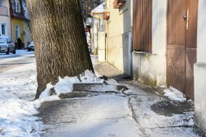 ŠTÚROVU ULICU ČAKÁ REKONŠTRUKCIA AJ VÝRUB STROMOV