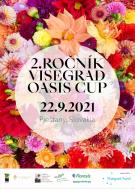 VISEGRAD OASIS CUP 1
