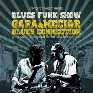 GAPA & MEČIAR BLUES CONNECTION 1