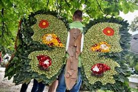 VICTORIA REGIA 1