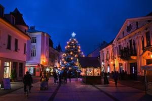 PIEŠŤANSKÉ VIANOČNÉ TRHY - tretí adventný víkend 1
