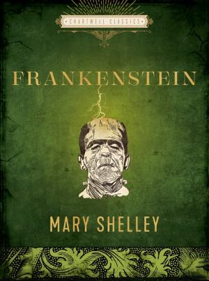 ROZBOR DIELA FRANKENSTEIN 1
