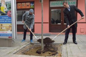 Vysadili „Strom tolerancie medzi národmi“ 1