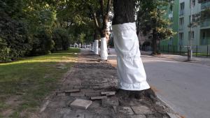Rekonštrukcia chodníkov na ulici Pod Párovcami 1