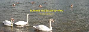 PLÁVANIE OTUŽILCOV VO VÁHU  1
