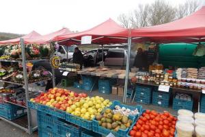 FARMÁRSKE TRHY DO ODVOLANIA ZRUŠENÉ