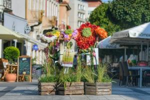 NA ZÁVER LETNEJ SEZÓNY ZAKVITNÚ PIEŠŤANY POD RUKAMI FLORISTOV